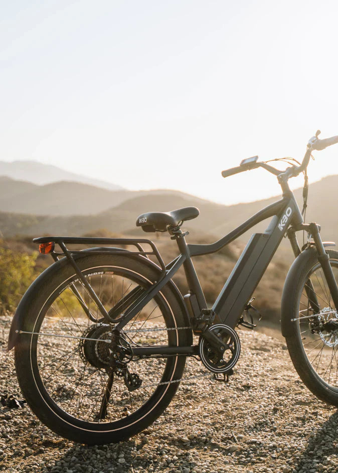 Electric Bike