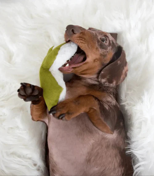 Dog 2